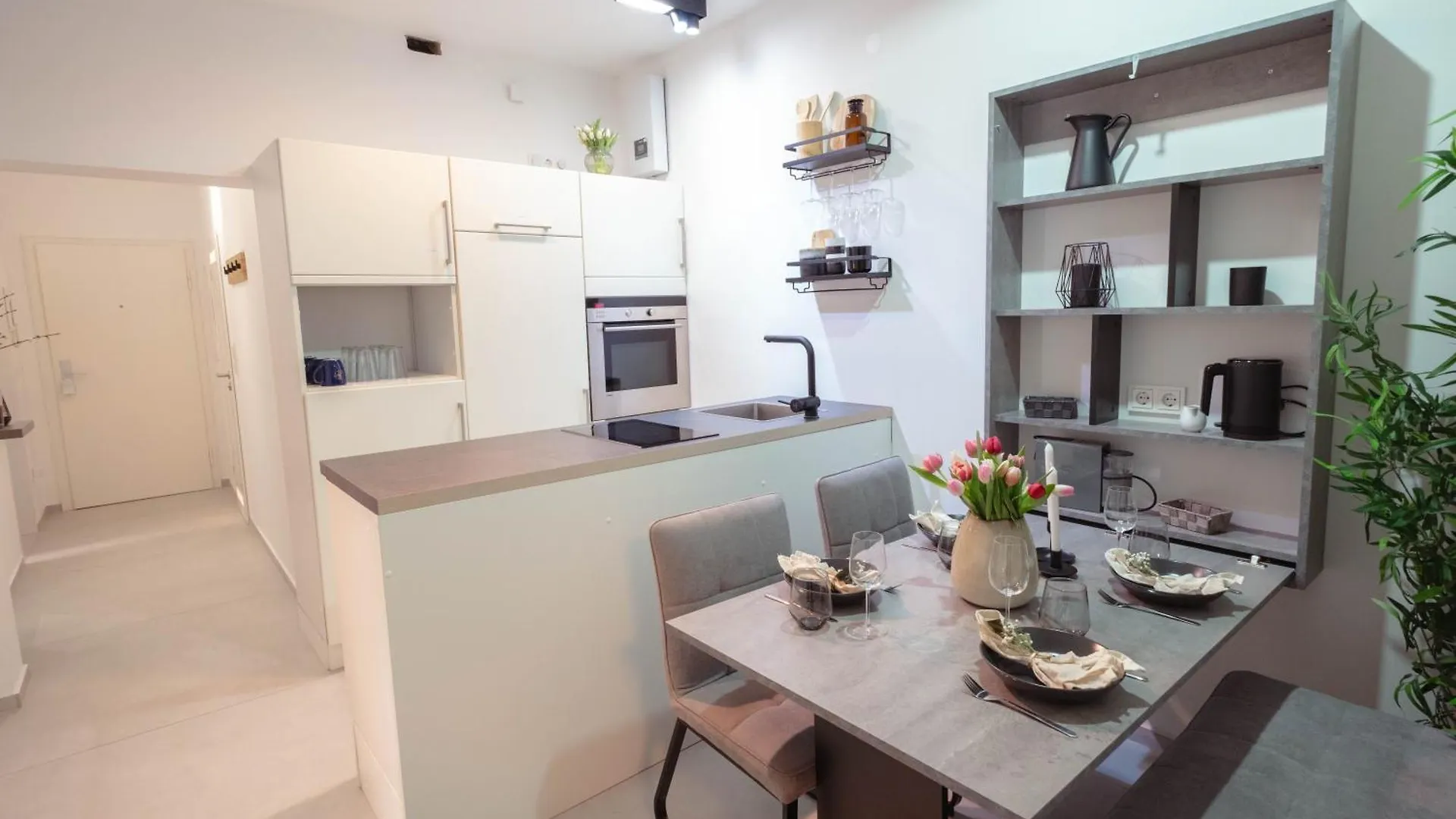 Tanic Deluxe Apartment Garden Central Industrial Fair Dusseldorf 0*,